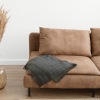 modern couch with plant